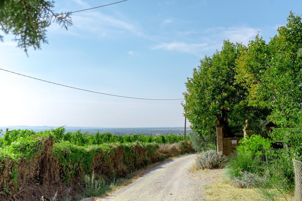 Il Vigneto Cottage Bertinoro Exterior foto